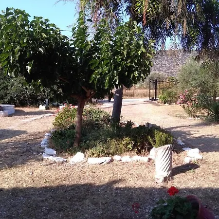 Perivoli, Olive & Pomegranate Orchard * 에르미오니