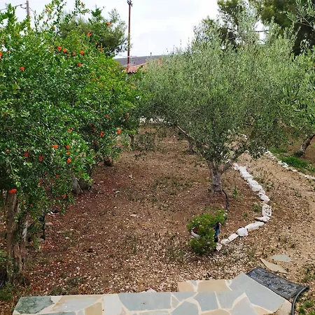 Perivoli, Olive & Pomegranate Orchard