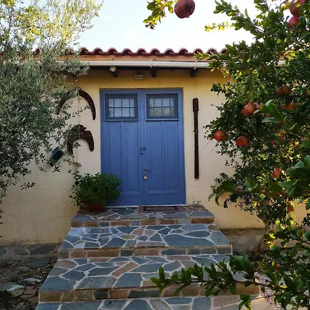 Perivoli, Olive & Pomegranate Orchard *